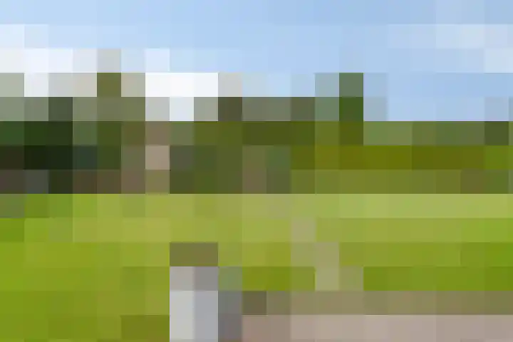Achter 't Ven 4 Schaijk thumbnail 34