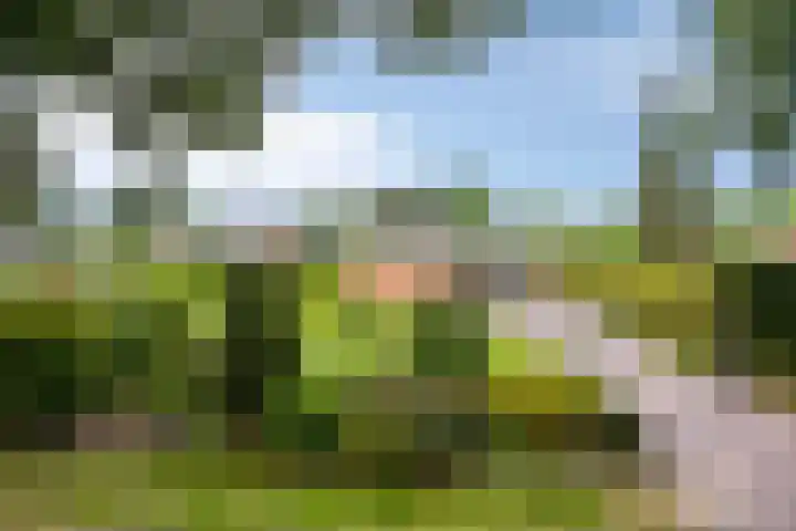 Achter 't Ven 4 Schaijk thumbnail 36