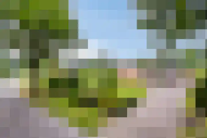 Achter 't Ven 4 Schaijk thumbnail 37