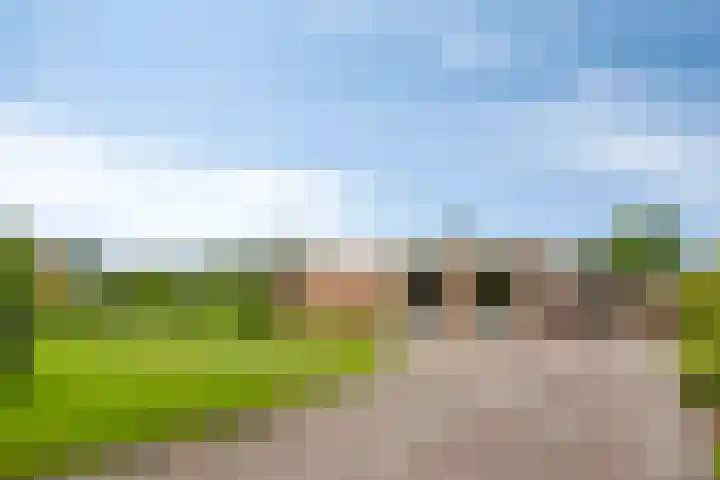 Achter 't Ven 4 Schaijk thumbnail 38