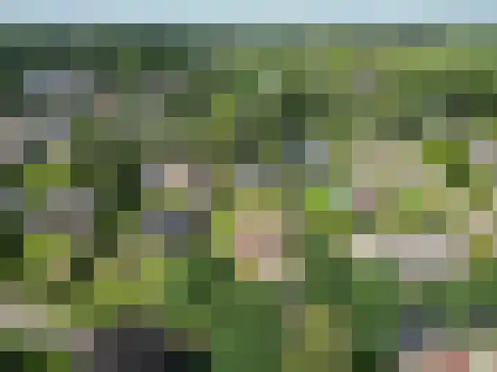 Achter 't Ven 4 Schaijk thumbnail 39