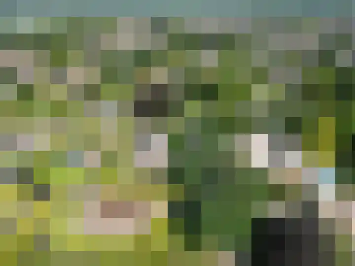 Achter 't Ven 4 Schaijk thumbnail 40