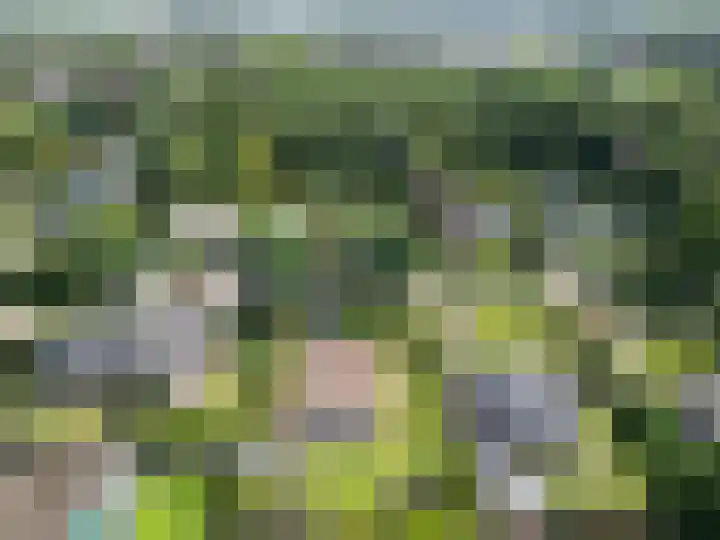 Achter 't Ven 4 Schaijk thumbnail 41
