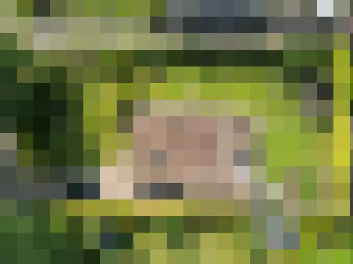 Achter 't Ven 4 Schaijk thumbnail 42