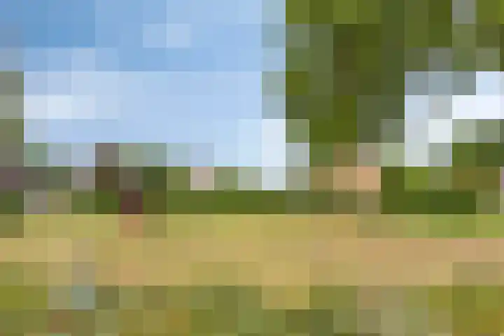 Achter 't Ven 4 Schaijk thumbnail 43