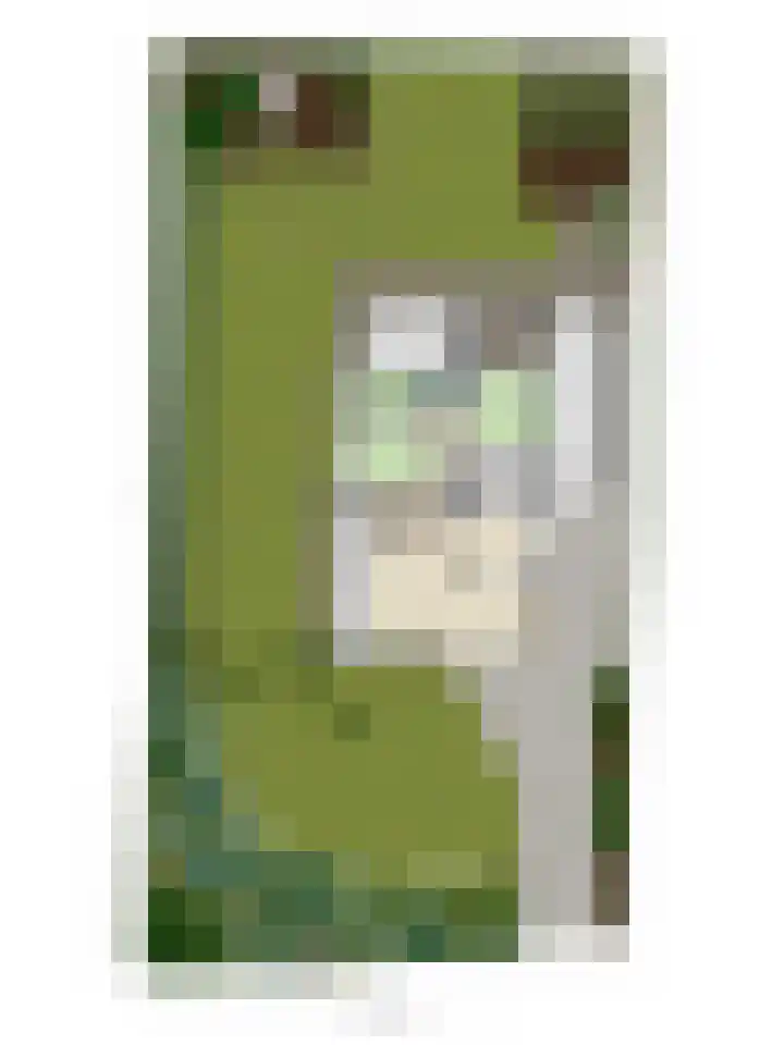 Achter 't Ven 4 Schaijk thumbnail 44