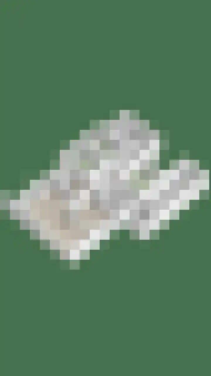 Achter 't Ven 4 Schaijk thumbnail 47