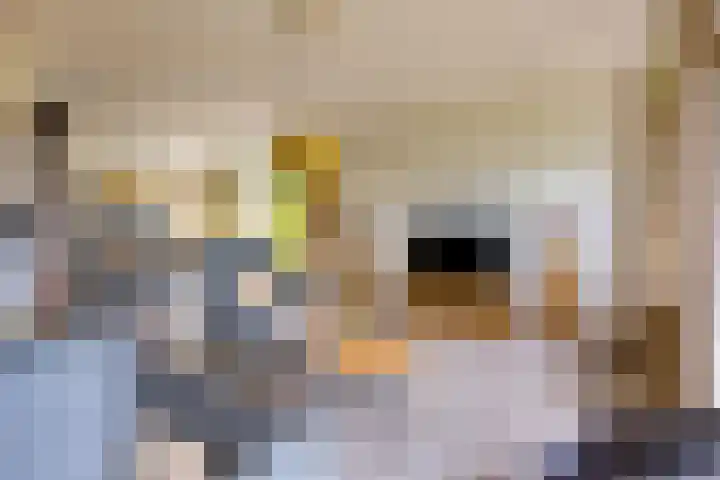 Achter 't Ven 4 Schaijk thumbnail 5