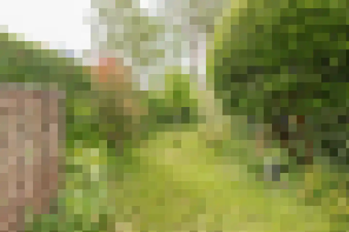 Achter 't Zand 2 Culemborg thumbnail 15
