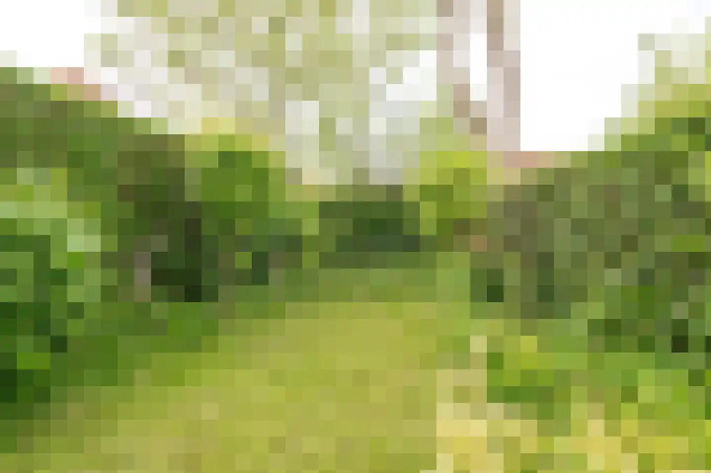 Achter 't Zand 2 Culemborg thumbnail 16