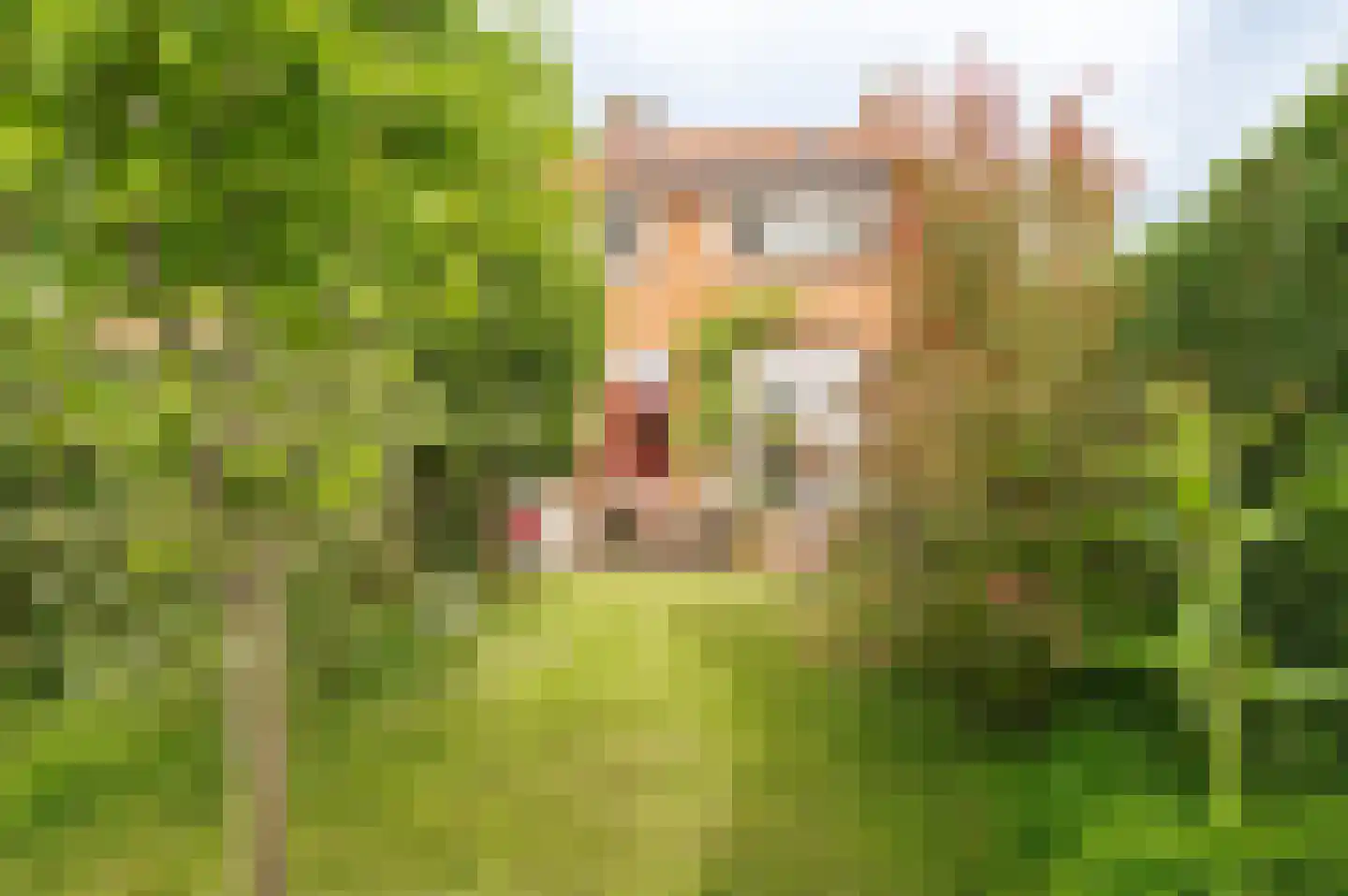 Achter 't Zand 2 Culemborg thumbnail 18