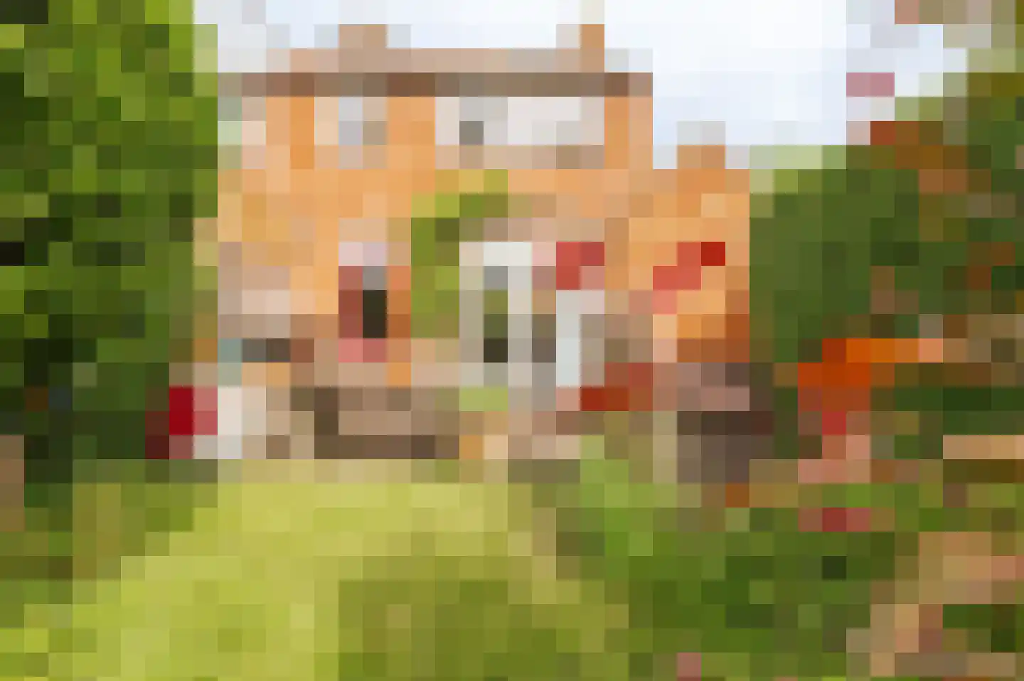 Achter 't Zand 2 Culemborg thumbnail 19