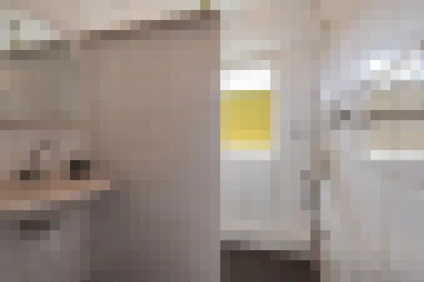 Achter 't Zand 2 Culemborg thumbnail 30