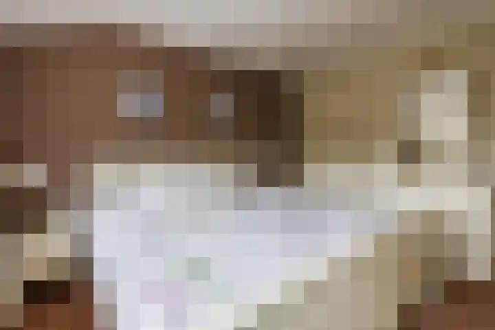 Achter 't Zand 5 Culemborg thumbnail 16