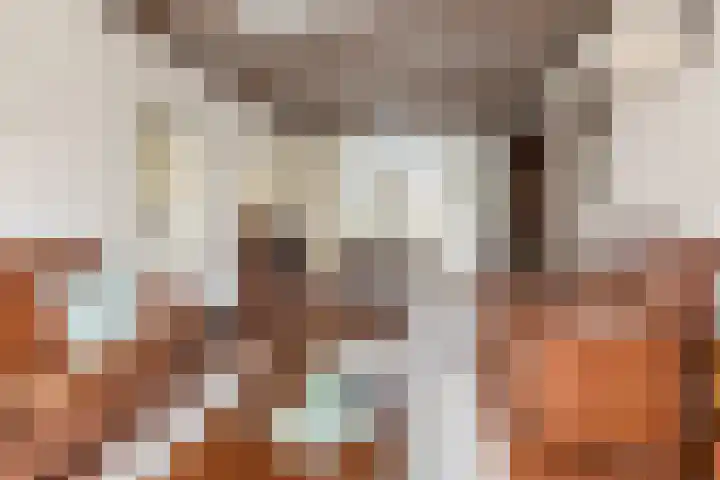 Achter 't Zand 5 Culemborg thumbnail 8