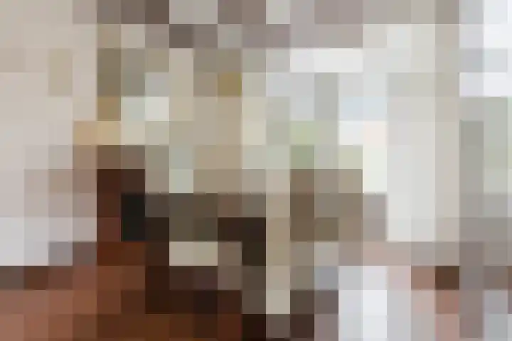 Achter 't Zand 5 Culemborg thumbnail 9