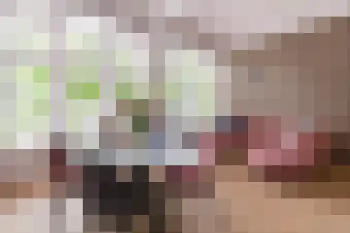 Achter 't Zand 52 a Culemborg thumbnail 10
