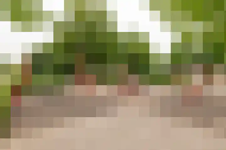 Achter 't Zand 52 a Culemborg thumbnail 22
