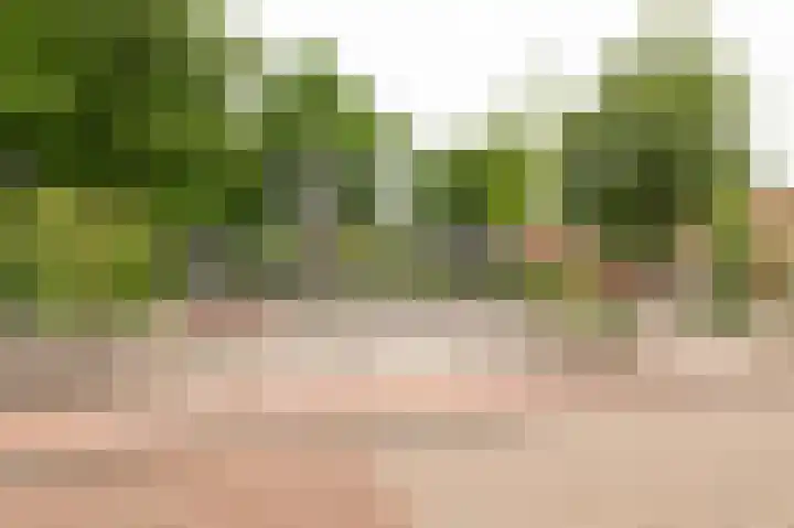 Achter 't Zand 52 a Culemborg thumbnail 23