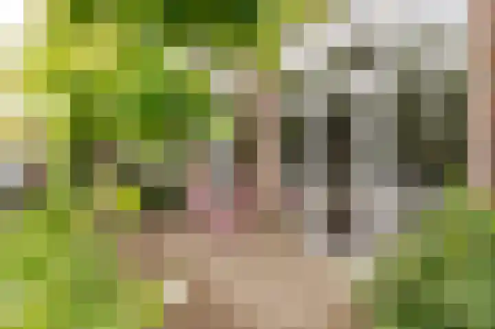 Achter 't Zand 52 a Culemborg thumbnail 30