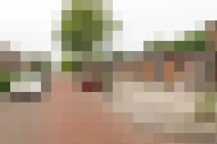 Achter 't Zand 52 a Culemborg thumbnail 4