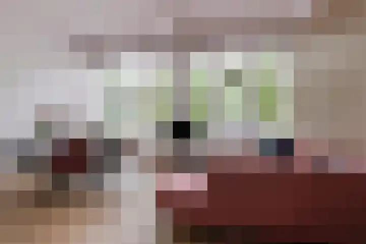 Achter 't Zand 52 a Culemborg thumbnail 8