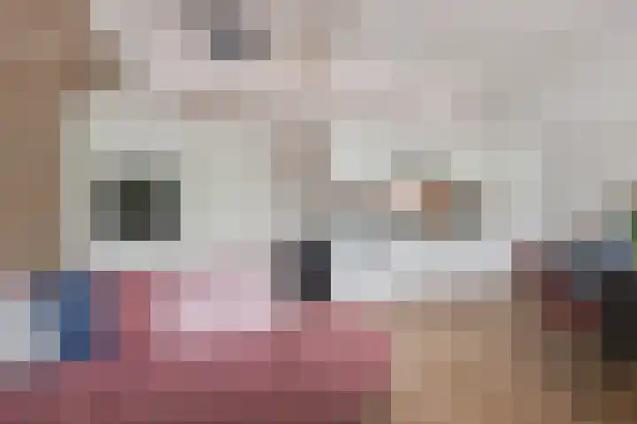 Achter 't Zand 52 a Culemborg thumbnail 9