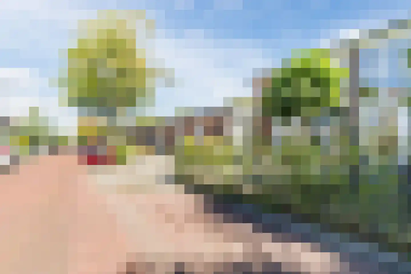 Achter 't Zand 58 a Culemborg thumbnail 32