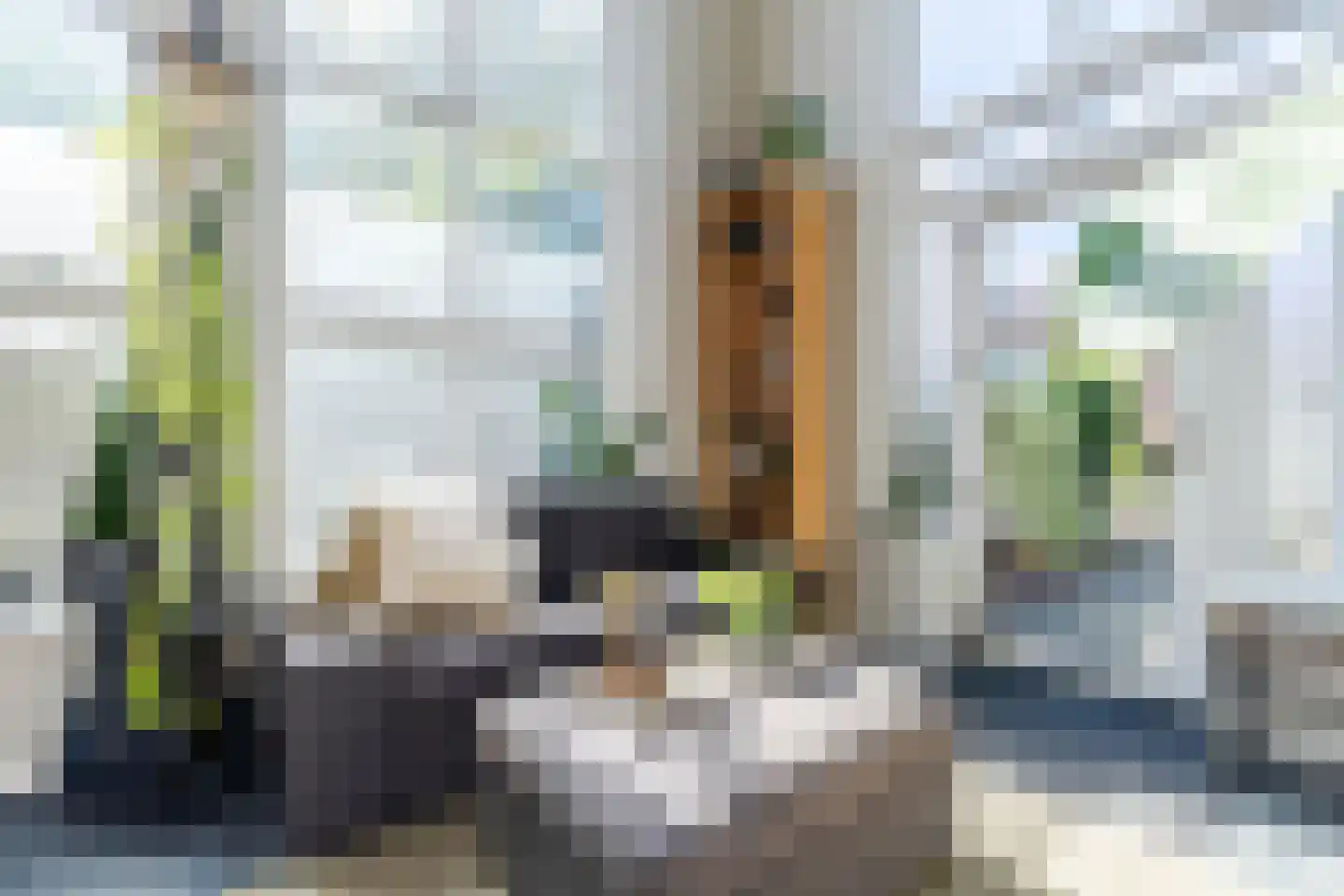Achter 't Zand 58 a Culemborg thumbnail 9