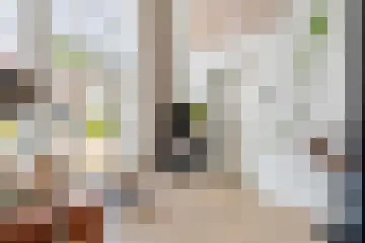 Achter 't Zand 58 Culemborg thumbnail 10