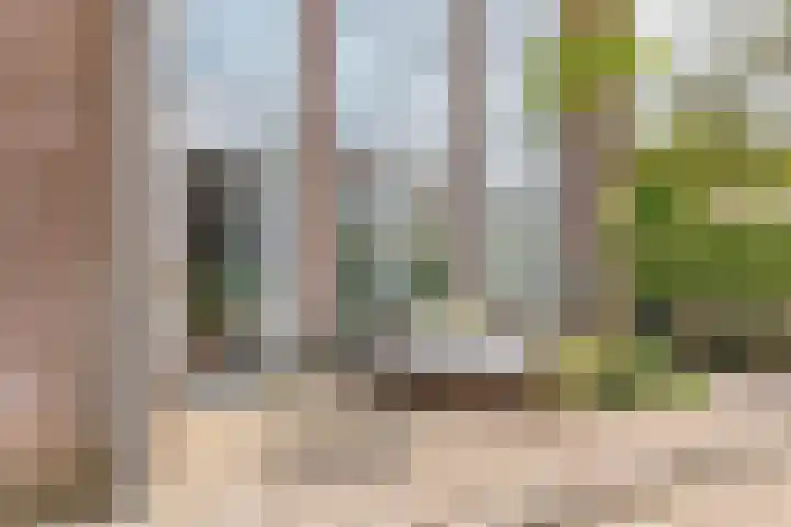 Achter 't Zand 58 Culemborg thumbnail 4