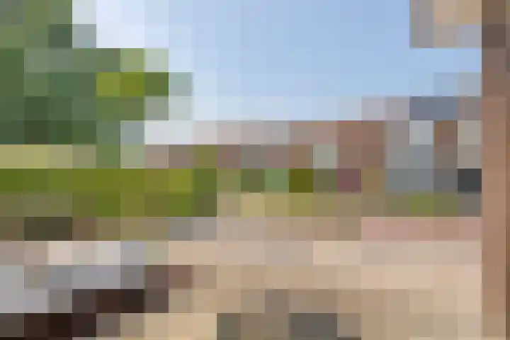 Achter 't Zand 58 Culemborg thumbnail 5