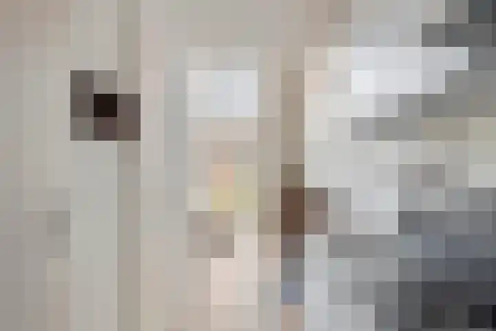 Achter 't Zand 58 Culemborg thumbnail 8