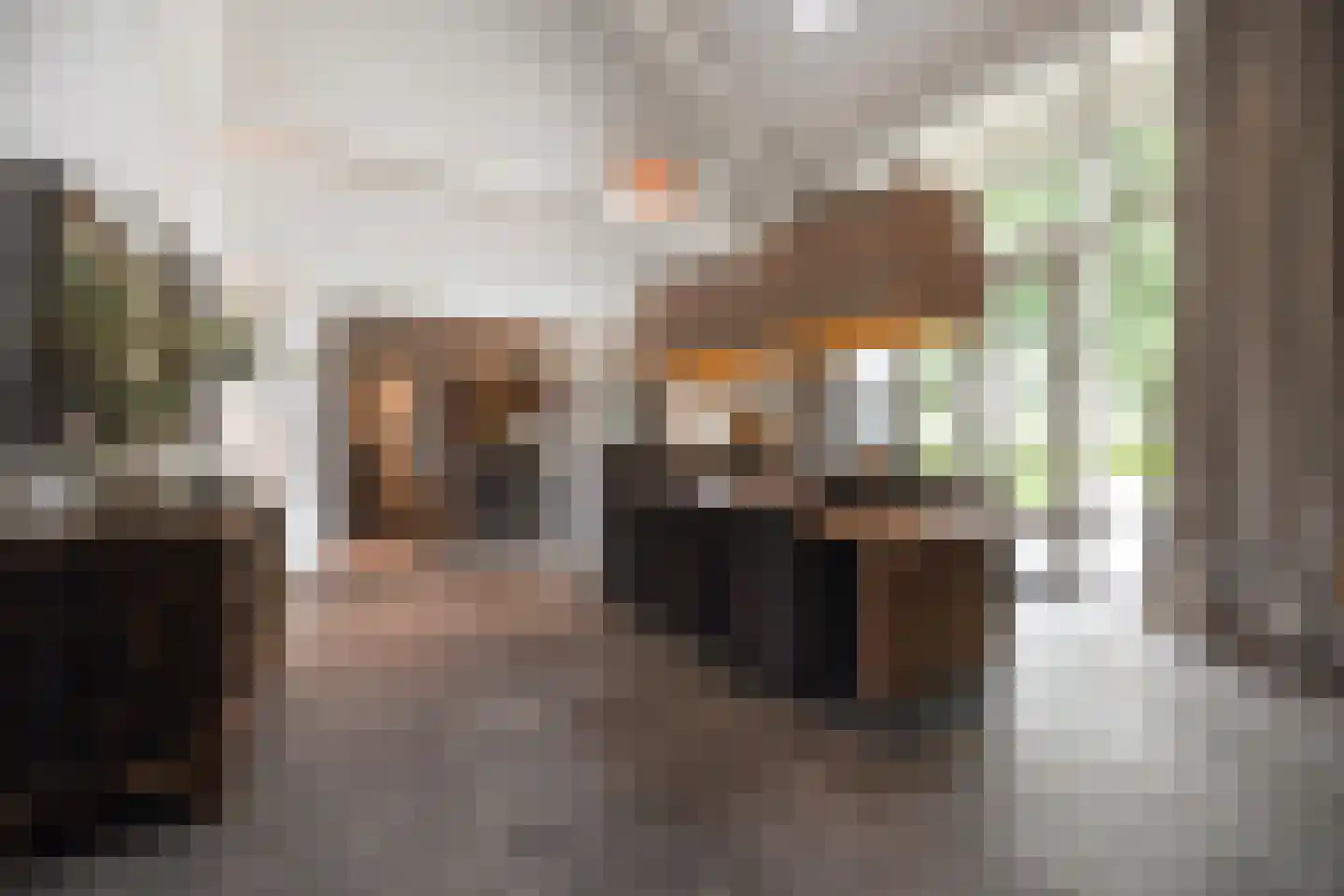 Achterambachtseweg 19 Hendrik-Ido-Ambacht thumbnail 13