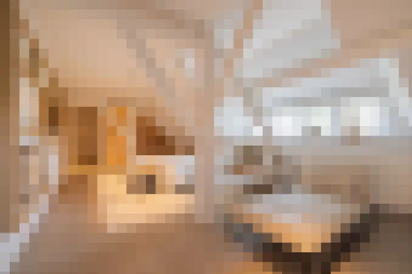 Achterambachtseweg 19 Hendrik-Ido-Ambacht thumbnail 8