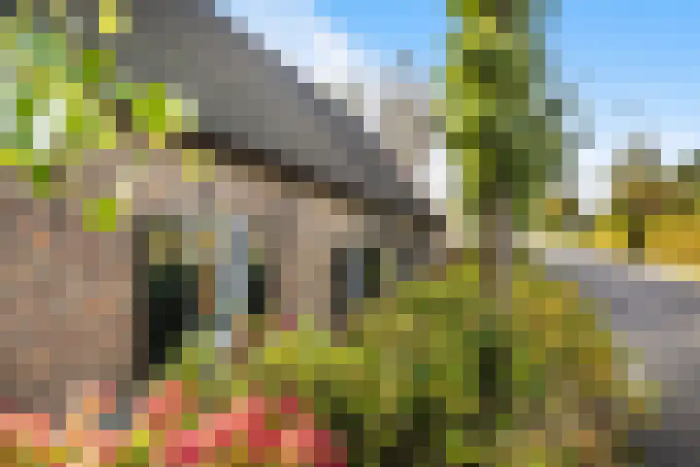 Achterambachtseweg 6 Hendrik-Ido-Ambacht thumbnail 15