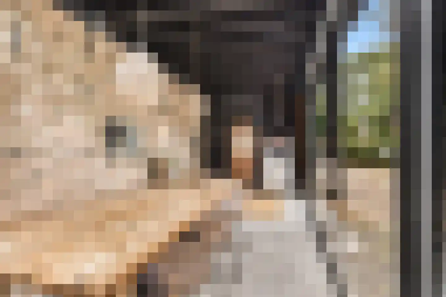 Achterambachtseweg 6 Hendrik-Ido-Ambacht thumbnail 22