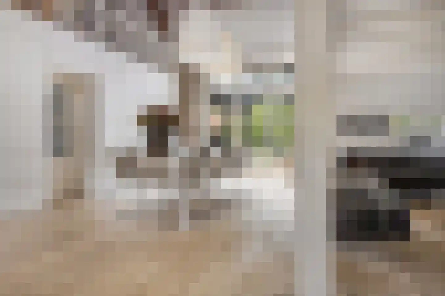Achterambachtseweg 6 Hendrik-Ido-Ambacht thumbnail 27