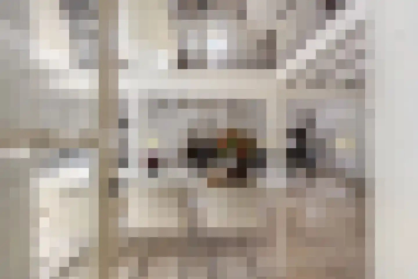 Achterambachtseweg 6 Hendrik-Ido-Ambacht thumbnail 29