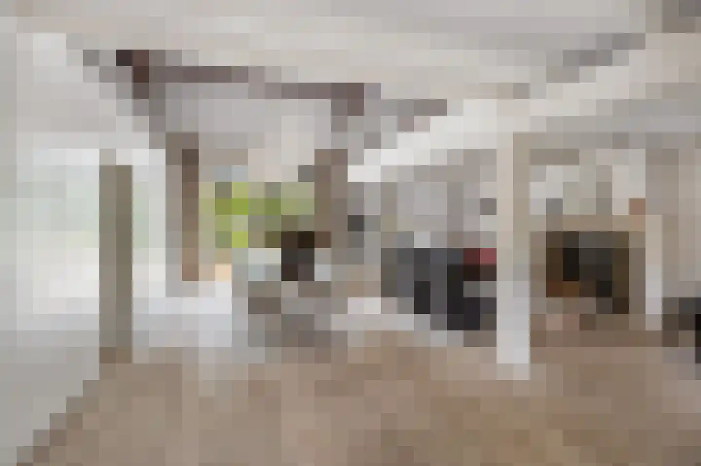 Achterambachtseweg 6 Hendrik-Ido-Ambacht thumbnail 30