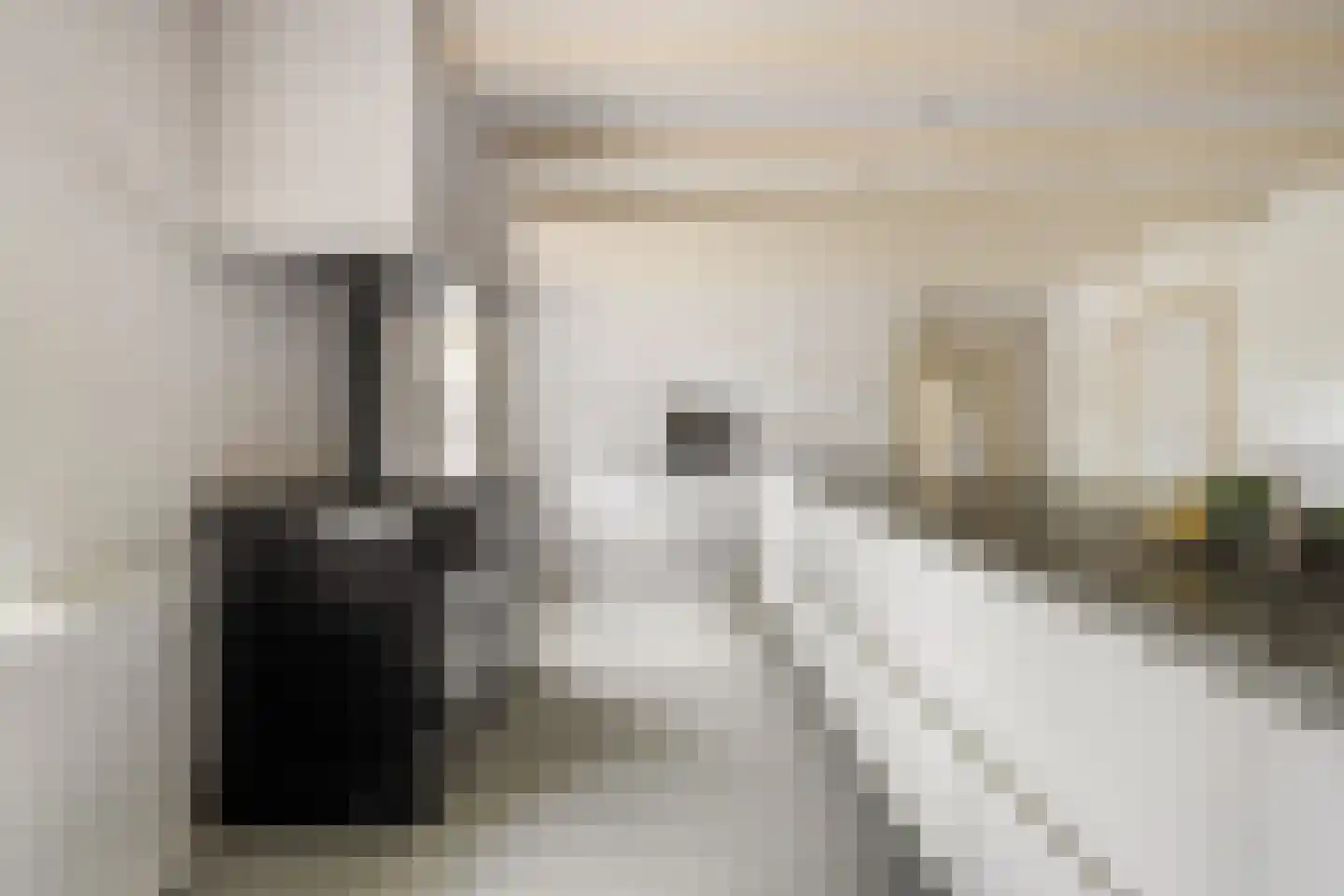 Achterambachtseweg 6 Hendrik-Ido-Ambacht thumbnail 34