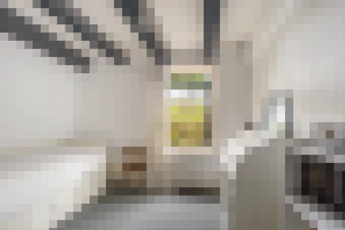 Achterambachtseweg 6 Hendrik-Ido-Ambacht thumbnail 38