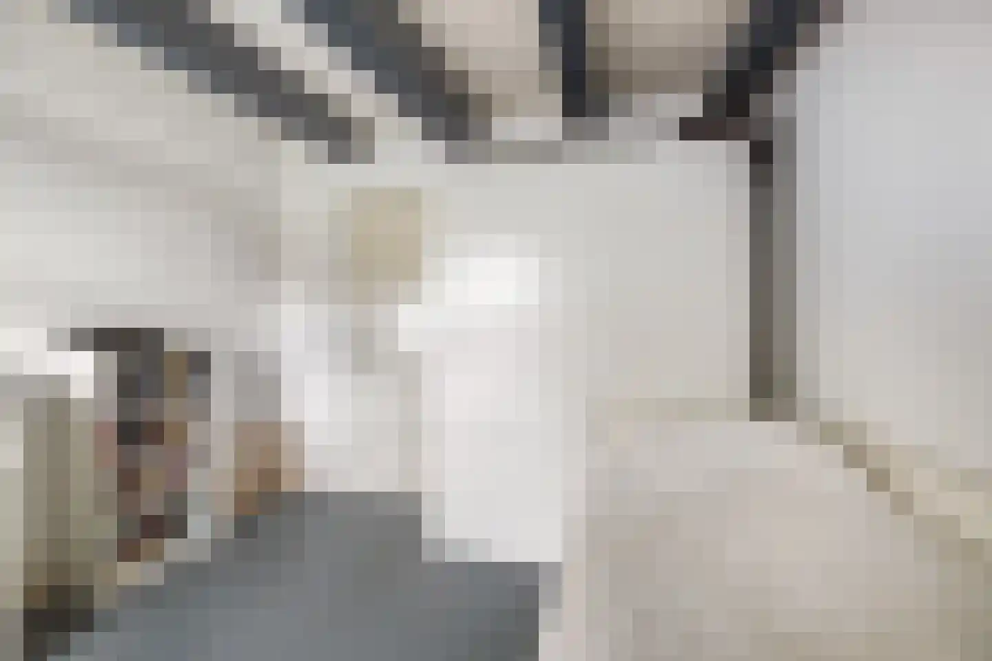 Achterambachtseweg 6 Hendrik-Ido-Ambacht thumbnail 39