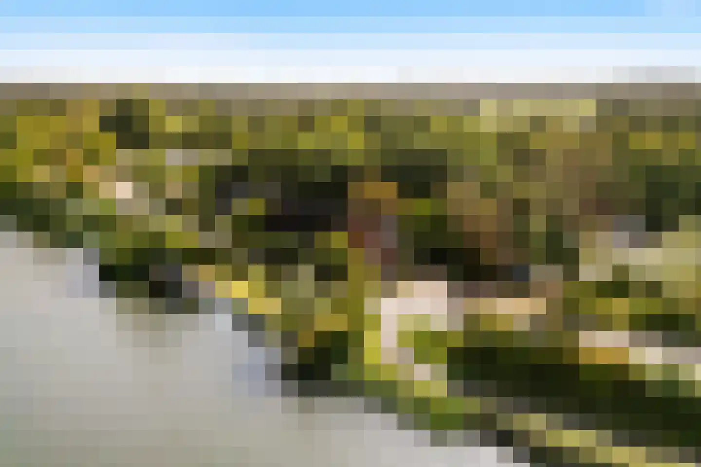 Achterambachtseweg 6 Hendrik-Ido-Ambacht thumbnail 4