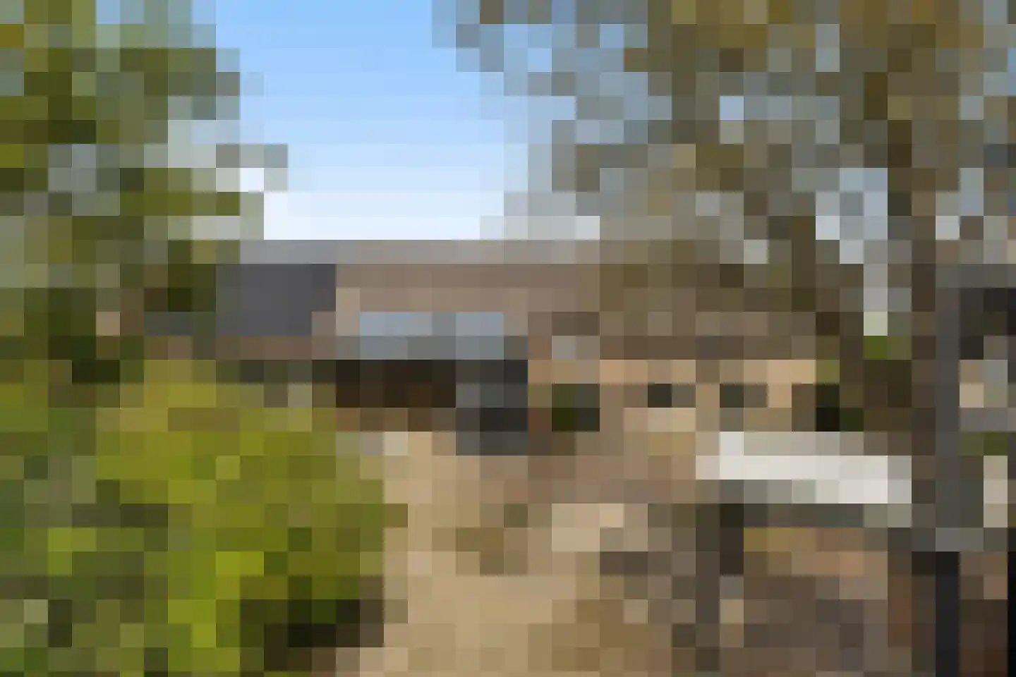 Achterambachtseweg 6 Hendrik-Ido-Ambacht thumbnail 5