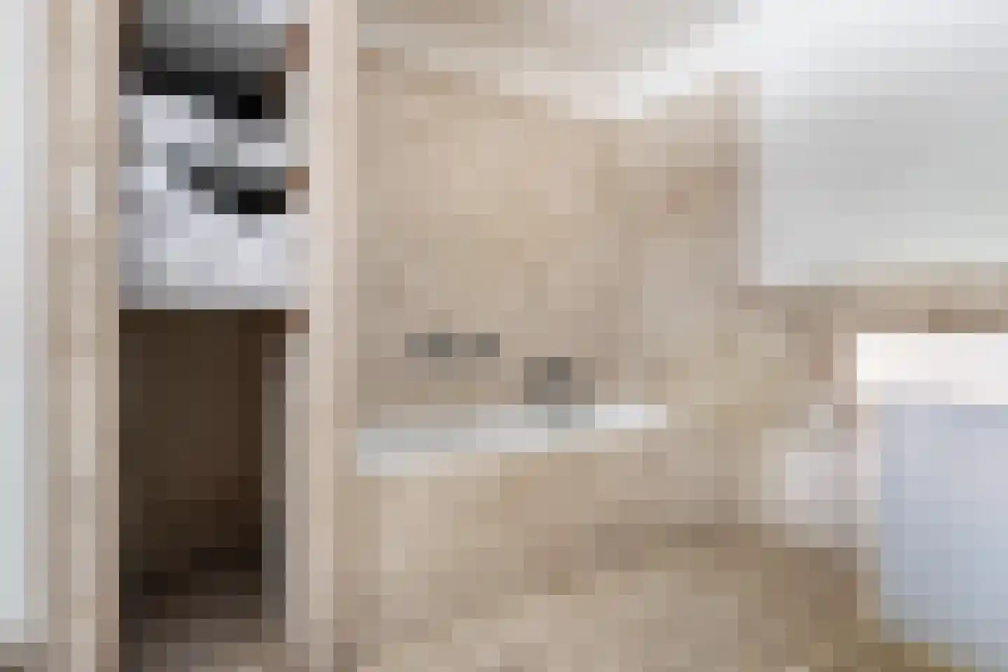 Achterambachtseweg 6 Hendrik-Ido-Ambacht thumbnail 51