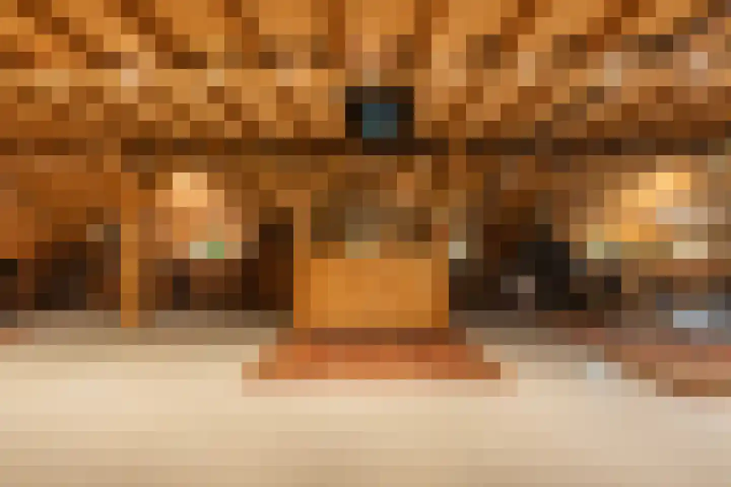 Achterambachtseweg 6 Hendrik-Ido-Ambacht thumbnail 73