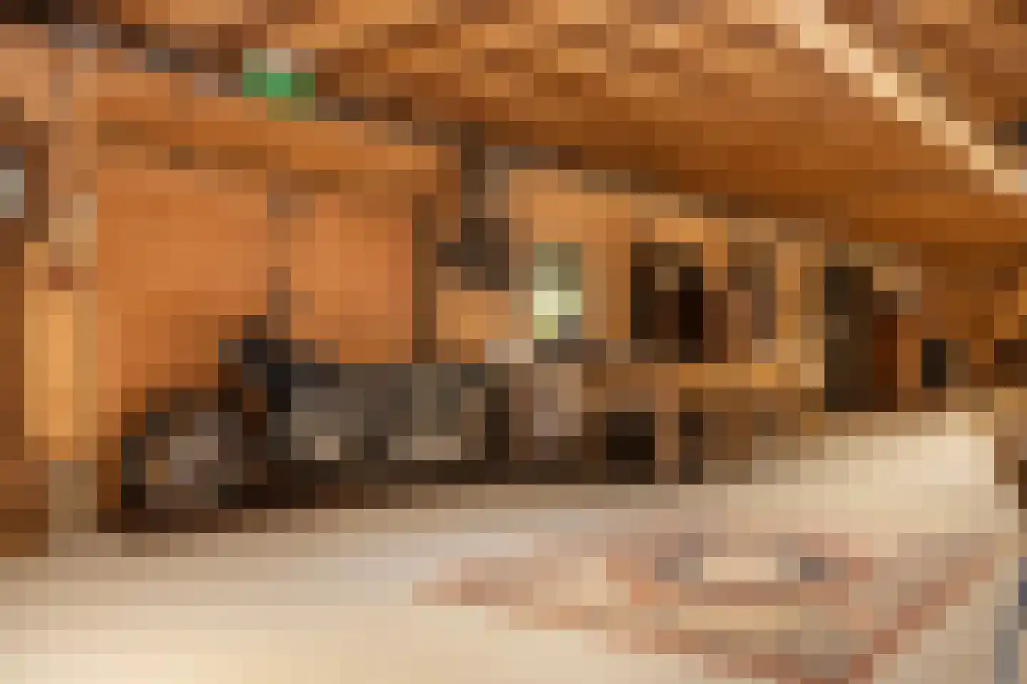 Achterambachtseweg 6 Hendrik-Ido-Ambacht thumbnail 74
