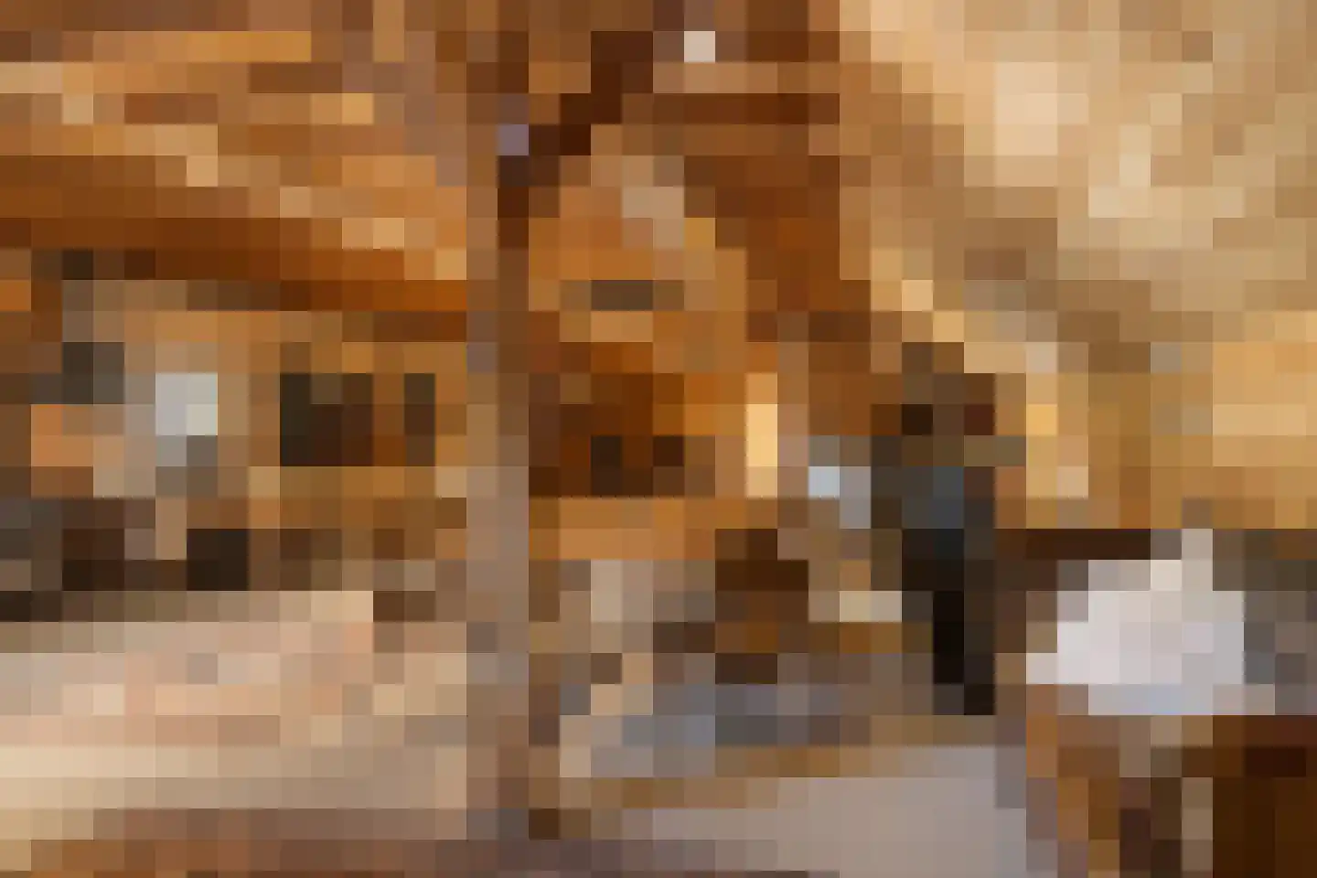 Achterambachtseweg 6 Hendrik-Ido-Ambacht thumbnail 75