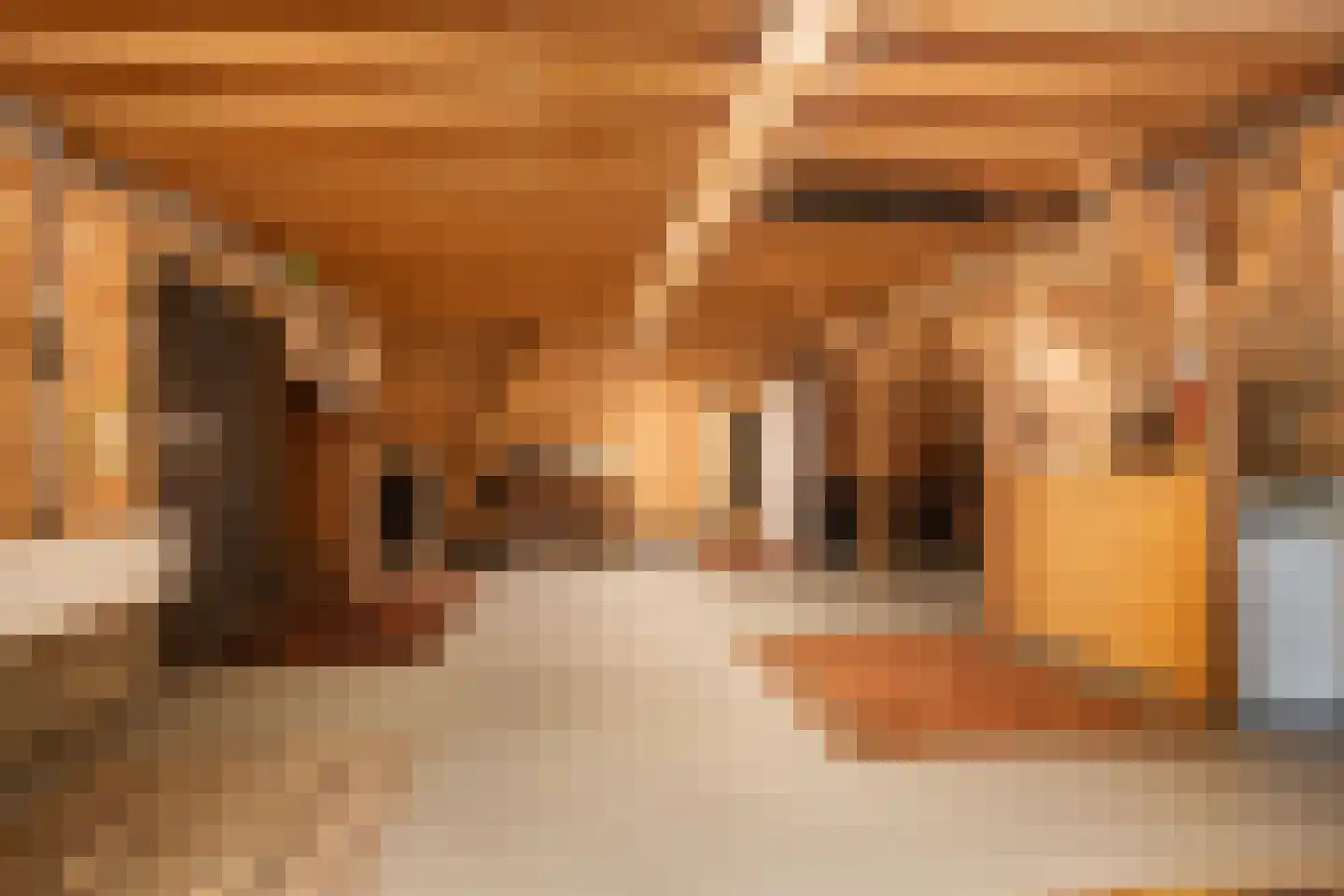 Achterambachtseweg 6 Hendrik-Ido-Ambacht thumbnail 76